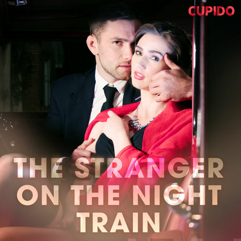 Stranger on the Night Train, The