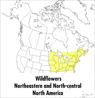 Peterson Field Guide to Wildflowers: Northeastern and North-Central North America, A