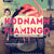 Kodnamn Flamingo