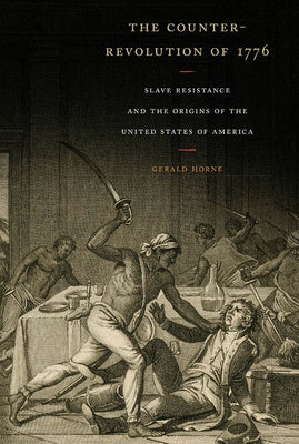 Counter-Revolution of 1776: Slave Resistance and the Origins of the United States of America, The