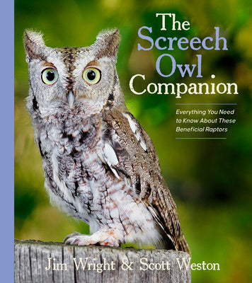 Screech Owl Companion: Everything You Need to Know about These Beneficial Raptors, The