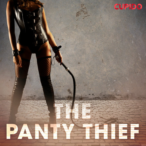 Panty Thief, The