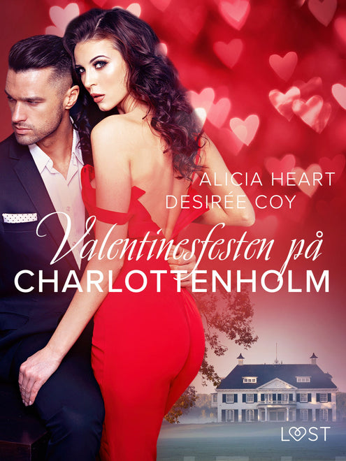 Valentinesfesten på Charlottenholm - erotisk novell