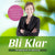 Bli klar : the swedish art of completion