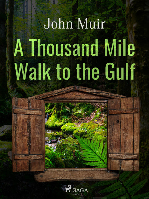 Thousand Mile Walk to the Gulf, A