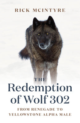 Redemption of Wolf 302: From Renegade to Yellowstone Alpha Male, The