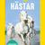 Hästar