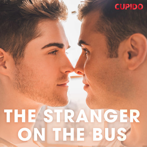 Stranger on the Bus, The