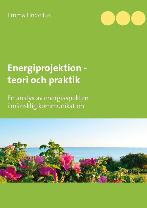Energiprojektion teori och praktik : En analys av energiaspekten i  mänskli