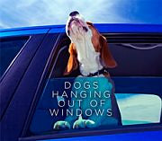 Dogs Hanging out of Window